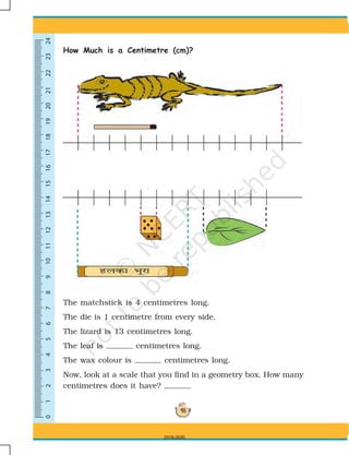 0123456789101113141516171819202112222324
48
How Much is a Centimetre (cm)?
The matchstick is 4 centimetres long.
The die is 1 centimetre from every side.
The lizard is 13 centimetres long.
The leaf is centimetres long.
The wax colour is centimetres long.
Now, look at a scale that you find in a geometry box. How many
centimetres does it have?
2019-2020
 