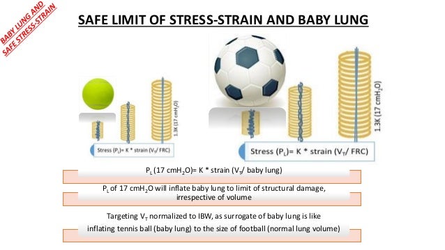 lung stress ball