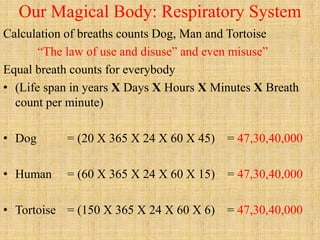 Mathematics of Physiology - SMK.pptx