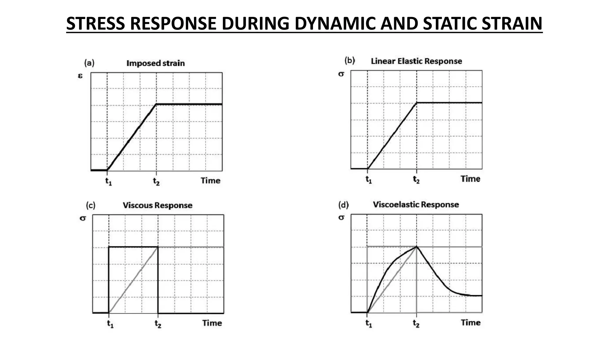 STRESS RESPONSE DURING DYNAMIC AND STATIC STRAIN
 