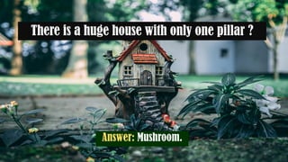 Mathematics Riddles | PDF