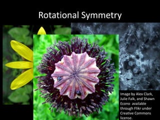 Rotational Symmetry Image by Alex Clark, Julie Falk, and Shawn Econo  available  through Flikr under Creative Commons license. .  