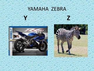YAMAHA ZEBRA
Y Z
 