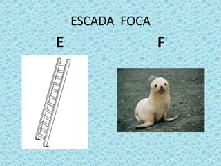 ESCADA FOCA
E F
 