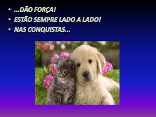 Matheus a. dias e alec