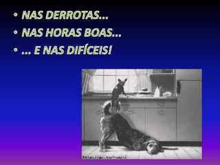 Matheus a. dias e alec