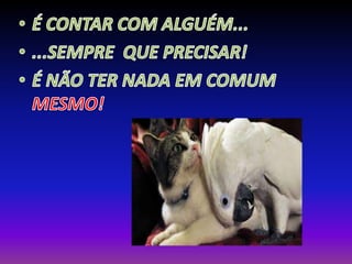 Matheus a. dias e alec