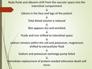 Body fluids and albumin shift from the vascular space into the
interstitial compartment
↓
Edema in the face and legs of the patient
↓
Total blood volume is reduced
↓
Skin appears dry and wrinkled
↓
Fluids and iron shifted to interstitial space
↓
sodium remains within the cell and potassium, magnesium
shifted to extracellular fluid
↓
Sodium and potassium exchange pump failed
↓
Immediate replacement of protein needed otherwise death will
occur
 
