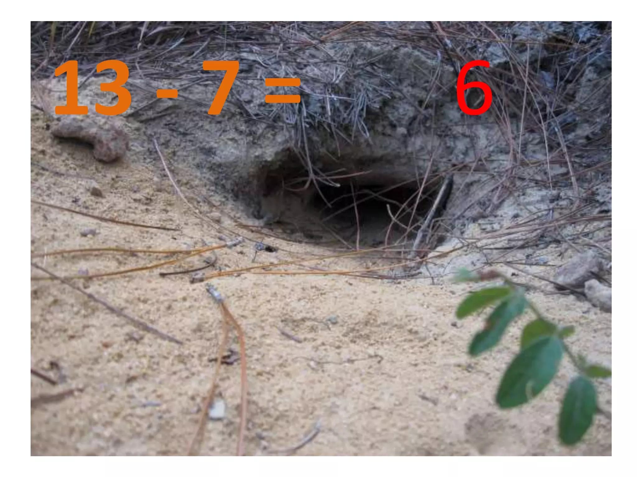 13 - 7 = 6
 