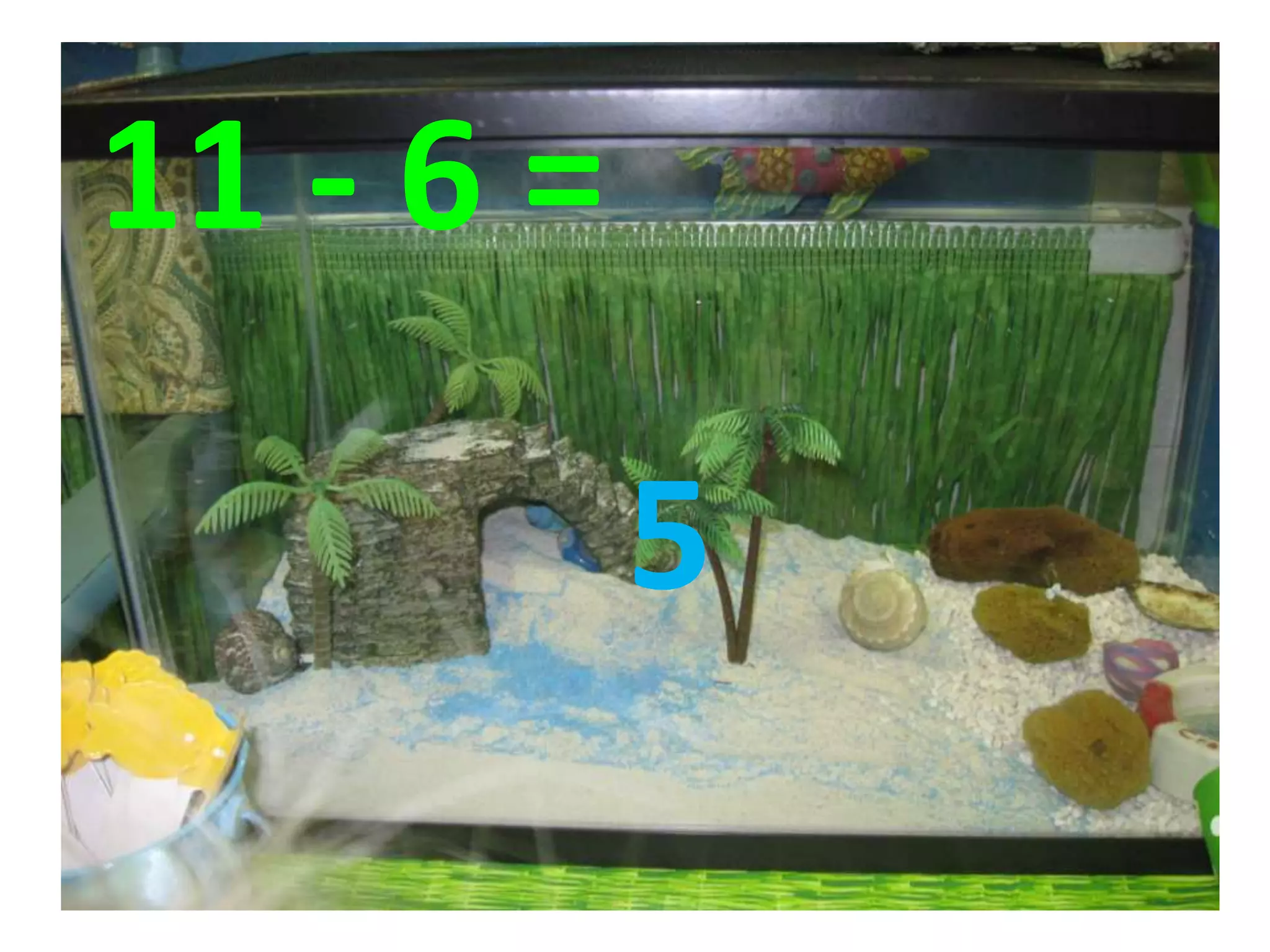 11 - 6 =
5
 