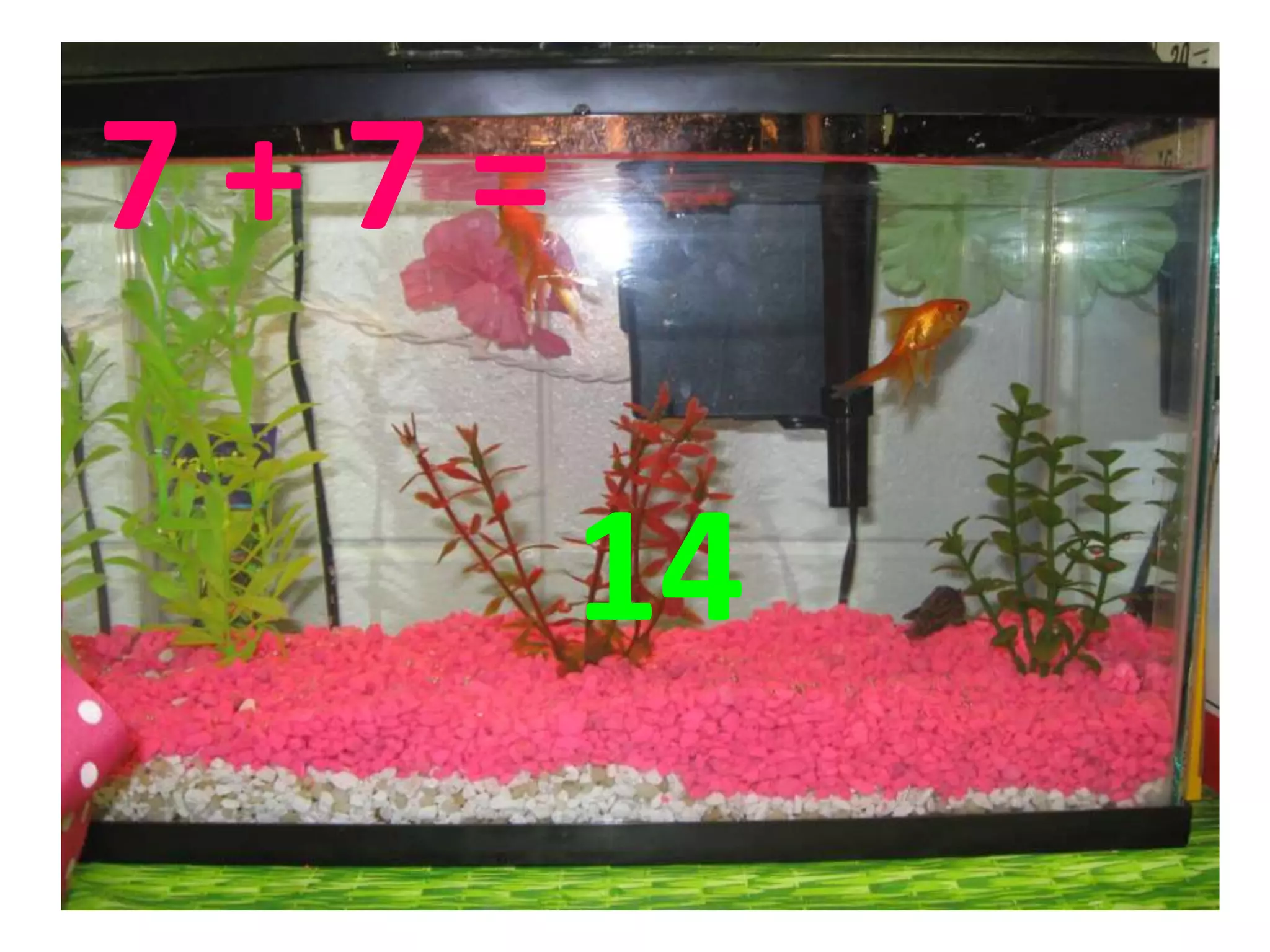 7 + 7 =
14
 