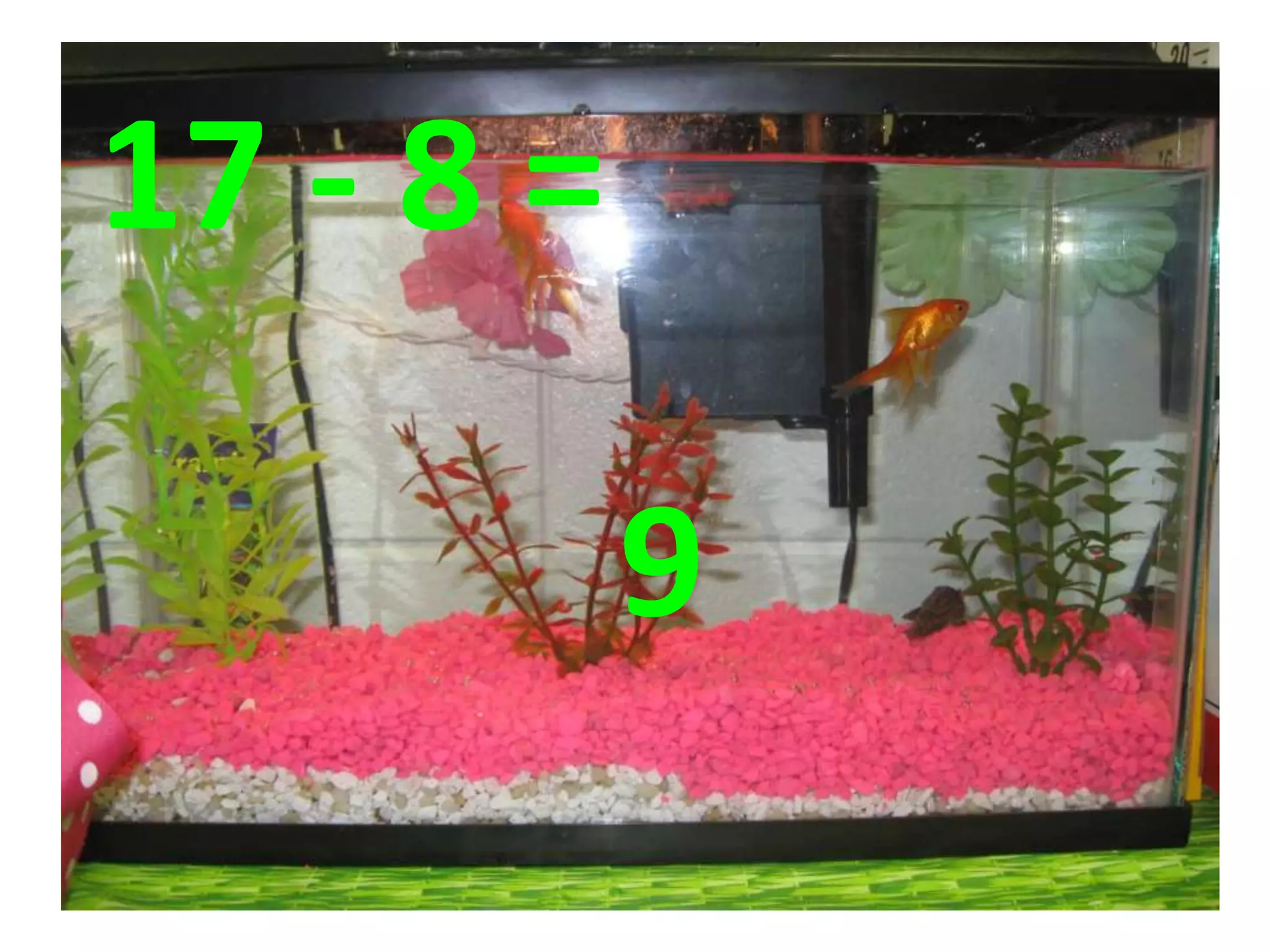 17 - 8 =
9
 