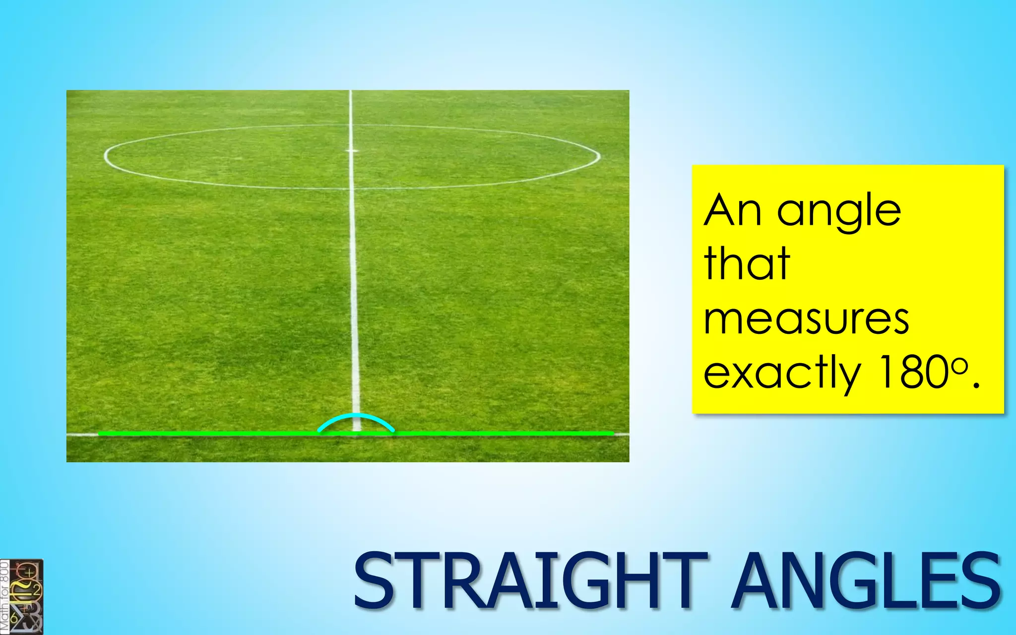 An angle that measures exactly 180o.  