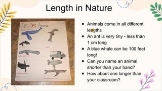 Note Lengths Animal Names Math grade 2 & 3 - solving word problems involving lengths - Copy.pptx