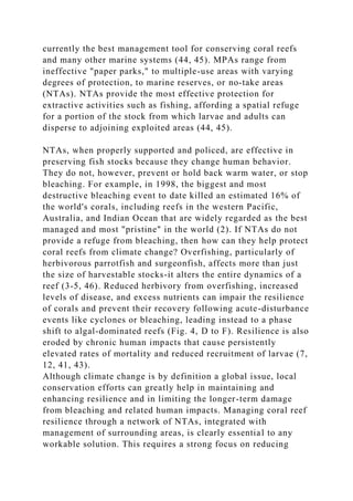 currently the best management tool for conserving coral reefs
and many other marine systems (44, 45). MPAs range from
ineffective "paper parks," to multiple-use areas with varying
degrees of protection, to marine reserves, or no-take areas
(NTAs). NTAs provide the most effective protection for
extractive activities such as fishing, affording a spatial refuge
for a portion of the stock from which larvae and adults can
disperse to adjoining exploited areas (44, 45).
NTAs, when properly supported and policed, are effective in
preserving fish stocks because they change human behavior.
They do not, however, prevent or hold back warm water, or stop
bleaching. For example, in 1998, the biggest and most
destructive bleaching event to date killed an estimated 16% of
the world's corals, including reefs in the western Pacific,
Australia, and Indian Ocean that are widely regarded as the best
managed and most "pristine" in the world (2). If NTAs do not
provide a refuge from bleaching, then how can they help protect
coral reefs from climate change? Overfishing, particularly of
herbivorous parrotfish and surgeonfish, affects more than just
the size of harvestable stocks-it alters the entire dynamics of a
reef (3-5, 46). Reduced herbivory from overfishing, increased
levels of disease, and excess nutrients can impair the resilience
of corals and prevent their recovery following acute-disturbance
events like cyclones or bleaching, leading instead to a phase
shift to algal-dominated reefs (Fig. 4, D to F). Resilience is also
eroded by chronic human impacts that cause persistently
elevated rates of mortality and reduced recruitment of larvae (7,
12, 41, 43).
Although climate change is by definition a global issue, local
conservation efforts can greatly help in maintaining and
enhancing resilience and in limiting the longer-term damage
from bleaching and related human impacts. Managing coral reef
resilience through a network of NTAs, integrated with
management of surrounding areas, is clearly essential to any
workable solution. This requires a strong focus on reducing
 