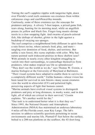 Tinting the surf's sapphire ripples with tangerine light, dawn
over Florida's coral reefs summons sea creatures from within
calcareous crags and cauliflowerlike mounds.
Cautiously, some of these creatures eye the seascape for
predators and prey. A silvery 7-foot tarpon, a prized game fish,
tears along, hunting for its morning meal, while an angelfish
preens its yellow and black fins. Finger-long mantis shrimp
tussle in a claw-snapping fight. And swarms of peach-colored
fish, like dollops of sherbet, glitter in the light against a
backdrop of swaying sea sponges.
The reef comprises a neighborhood little different in spirit from
a rain forest ravine, where animals feed, play, and mate--
tangling over dominion of food, shelter, and territory. But
unlike a rain forest, this scene explodes with color. Why has
nature painted such iridescent prairies in these shallow seas?
With animals in nearly every other kingdom struggling to
vanish into their surroundings, to camouflage themselves from
predators, what makes tropical sea life so splendorous?
"They don't see the world as we do," says Thomas W. Cronin, a
marine biologist at the University of Maryland at Baltimore.
"Their visual systems have adapted to enable them to survive in
a completely different world." Unlike humans--whose vision has
been tuned for survival in rain forests--many ocean creatures
view the world in ultraviolet (UV) and polarized light,
perceiving aspects of light that humans cannot.
"Marine animals have evolved visual systems to distinguish
predators and prey at long distances, in murky water, and in dim
light, all of which are critical to their survival," Cronin
explains. "It's another world for the."
"Our task is to understand better what it is that they see."
Since 1993, the National Oceanic and Atmospheric
Administration (NOAA) has maintained an undersea laboratory
4 miles off the Florida coast, near Key Largo. The lab's
mission: to address scientific questions pertaining to ocean
environments and marine life. Planted 67 feet below the surface,
bolted to a 200-ton platform on the seafloor, the 43-foot-long
 