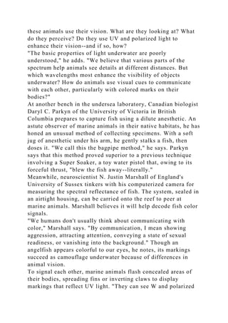 these animals use their vision. What are they looking at? What
do they perceive? Do they use UV and polarized light to
enhance their vision--and if so, how?
"The basic properties of light underwater are poorly
understood," he adds. "We believe that various parts of the
spectrum help animals see details at different distances. But
which wavelengths most enhance the visibility of objects
underwater? How do animals use visual cues to communicate
with each other, particularly with colored marks on their
bodies?"
At another bench in the undersea laboratory, Canadian biologist
Daryl C. Parkyn of the University of Victoria in British
Columbia prepares to capture fish using a dilute anesthetic. An
astute observer of marine animals in their native habitats, he has
honed an unusual method of collecting specimens. With a soft
jug of anesthetic under his arm, he gently stalks a fish, then
doses it. "We call this the bagpipe method," he says. Parkyn
says that this method proved superior to a previous technique
involving a Super Soaker, a toy water pistol that, owing to its
forceful thrust, "blew the fish away--literally."
Meanwhile, neuroscientist N. Justin Marshall of England's
University of Sussex tinkers with his computerized camera for
measuring the spectral reflectance of fish. The system, sealed in
an airtight housing, can be carried onto the reef to peer at
marine animals. Marshall believes it will help decode fish color
signals.
"We humans don't usually think about communicating with
color," Marshall says. "By communication, I mean showing
aggression, attracting attention, conveying a state of sexual
readiness, or vanishing into the background." Though an
angelfish appears colorful to our eyes, he notes, its markings
succeed as camouflage underwater because of differences in
animal vision.
To signal each other, marine animals flash concealed areas of
their bodies, spreading fins or inverting claws to display
markings that reflect UV light. "They can see W and polarized
 