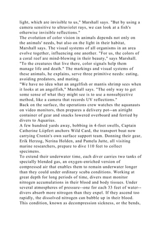 light, which are invisible to us," Marshall says. "But by using a
camera sensitive to ultraviolet rays, we can look at a fish's
otherwise invisible reflections."
The evolution of color vision in animals depends not only on
the animals' needs, but also on the light in their habitat,
Marshall says. The visual systems of all organisms in an area
evolve together, influencing one another. "For us, the colors of
a coral reef are mind-blowing in their beauty," says Marshall.
"To the creatures that live there, color signals help them
manage life and death." The markings and visual systems of
these animals, he explains, serve three primitive needs: eating,
avoiding predators, and mating.
"We have no idea what an angelfish or mantis shrimp sees when
it looks at an angelfish," Marshall says. "The only way to get
some sense of what they might see is to use a nonsubjective
method, like a camera that records UV reflections."
Back on the surface, the operations crew watches the aquanauts
on video monitors, then prepares a delivery pot--an airtight
container of gear and snacks lowered overboard and ferried by
divers to Aquarius.
A few hundred yards away, bobbing in 4-foot swells, Captain
Catherine Liipfert anchors Wild Card, the transport boat now
carrying Cronin's own surface support team. Donning their gear,
Erik Herzog, Nerina Holden, and Pamela Jutte, all visiting
marine researchers, prepare to dive 110 feet to collect
specimens.
To extend their underwater time, each diver carries two tanks of
specially blended gas, an oxygen-enriched version of
compressed air that enables them to remain underwater longer
than they could under ordinary scuba conditions. Working at
great depth for long periods of time, divers must monitor
nitrogen accumulations in their blood and body tissues. Under
several atmospheres of pressure--one for each 33 feet of water--
divers absorb more nitrogen than they expel. If they ascend too
rapidly, the dissolved nitrogen can bubble up in their blood.
This condition, known as decompression sickness, or the bends,
 