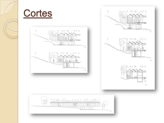 Cortes
 
