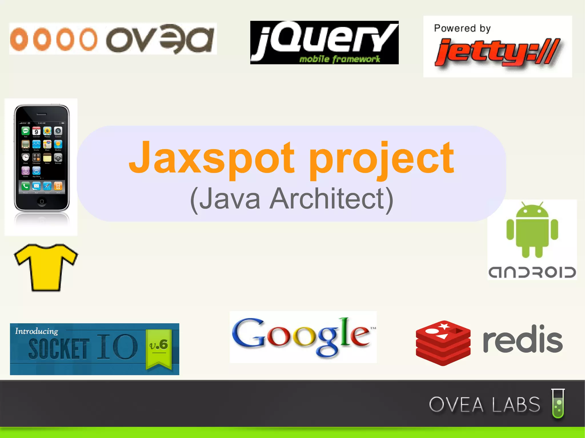 Jaxspot project
  (Java Architect)
 