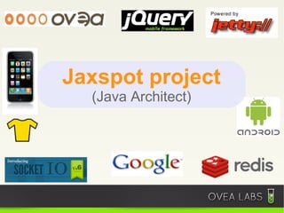 Jaxspot project
  (Java Architect)
 