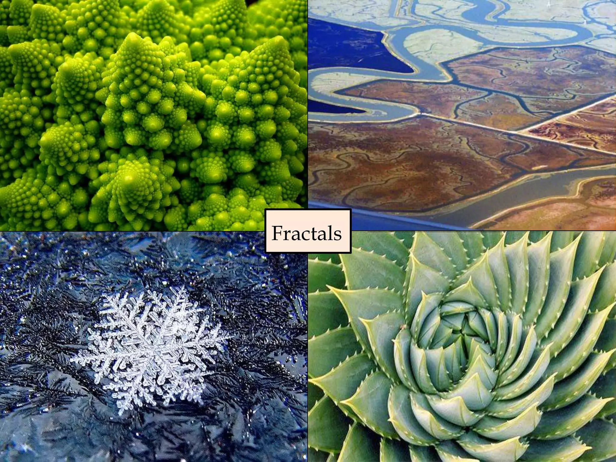 Fractals
 