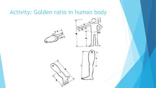 Activity: Golden ratio in human body
 