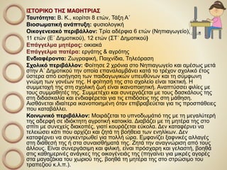 ΙΣΤΟΡΙΚΟ ΤΗΣ ΜΑΘΗΤΡΙΑΣ
Ταυτότητα: Β. Κ., κορίτσι 8 ετών, Τάξη Α΄
Βιοσωματική ανάπτυξη: φυσιολογική
Οικογενειακό περιβάλλον: Τρία αδέρφια 6 ετών (Νηπιαγωγείο),
11 ετών (Ε΄ Δημοτικού), 12 ετών (ΣΤ΄ Δημοτικού)
Επάγγελμα μητέρας: οικιακά
Επάγγελμα πατέρα: εργάτης & αγρότης
Ενδιαφέροντα: Ζωγραφική, Παιχνίδια, Τηλεόραση
Σχολικό περιβάλλον: Φοίτησε 2 χρόνια στο Νηπιαγωγείο και αμέσως μετά
στην Α΄ Δημοτικού την οποία επαναλαμβάνει κατά το τρέχον σχολικό έτος
ύστερα από εισήγηση των παιδαγωγικών υπευθύνων και τη σύμφωνη
γνώμη των γονέων της. Η φοίτησή της στο σχολείο είναι τακτική. Η
συμμετοχή της στη σχολική ζωή είναι ικανοποιητική. Αναπτύσσει φιλίες με
τους συμμαθητές της. Συμμετέχει και συνεργάζεται με τους δασκάλους της
στη διδασκαλία και ενδιαφέρεται για τις επιδόσεις της στη μάθηση.
Αισθάνεται ιδιαίτερα ικανοποιημένη όταν επιβραβεύεται για τις προσπάθειες
που καταβάλλει.
Κοινωνικό περιβάλλον: Μοιράζεται το υπνοδωμάτιό της με τη μεγαλύτερή
της αδερφή σε ιδιόκτητη αγροτική κατοικία. Διαβάζει με τη μητέρα της στο
σπίτι με συνεχείς διακοπές, γιατί κουράζεται εύκολα. Δεν καταφέρνει να
τελειώσει κάτι που αρχίζει και ζητά τη βοήθεια των ενηλίκων. Δεν
καταφέρνει να συγκεντρωθεί για πολλή ώρα. Εμφανίζει ξαφνικές αλλαγές
στη διάθεσή της ή στα συναισθήματά της. Ζητά την αναγνώριση από τους
άλλους. Είναι συνεργάσιμη και φιλική, είναι πρόσχαρη και γελαστή, βοηθά
στις καθημερινές ανάγκες της οικογένειάς της (πηγαίνει για μικρές αγορές
στα μαγαζάκια του χωριού της, βοηθά τη μητέρα της στο στρώσιμο του
τραπεζιού κ.λ.π.).
 