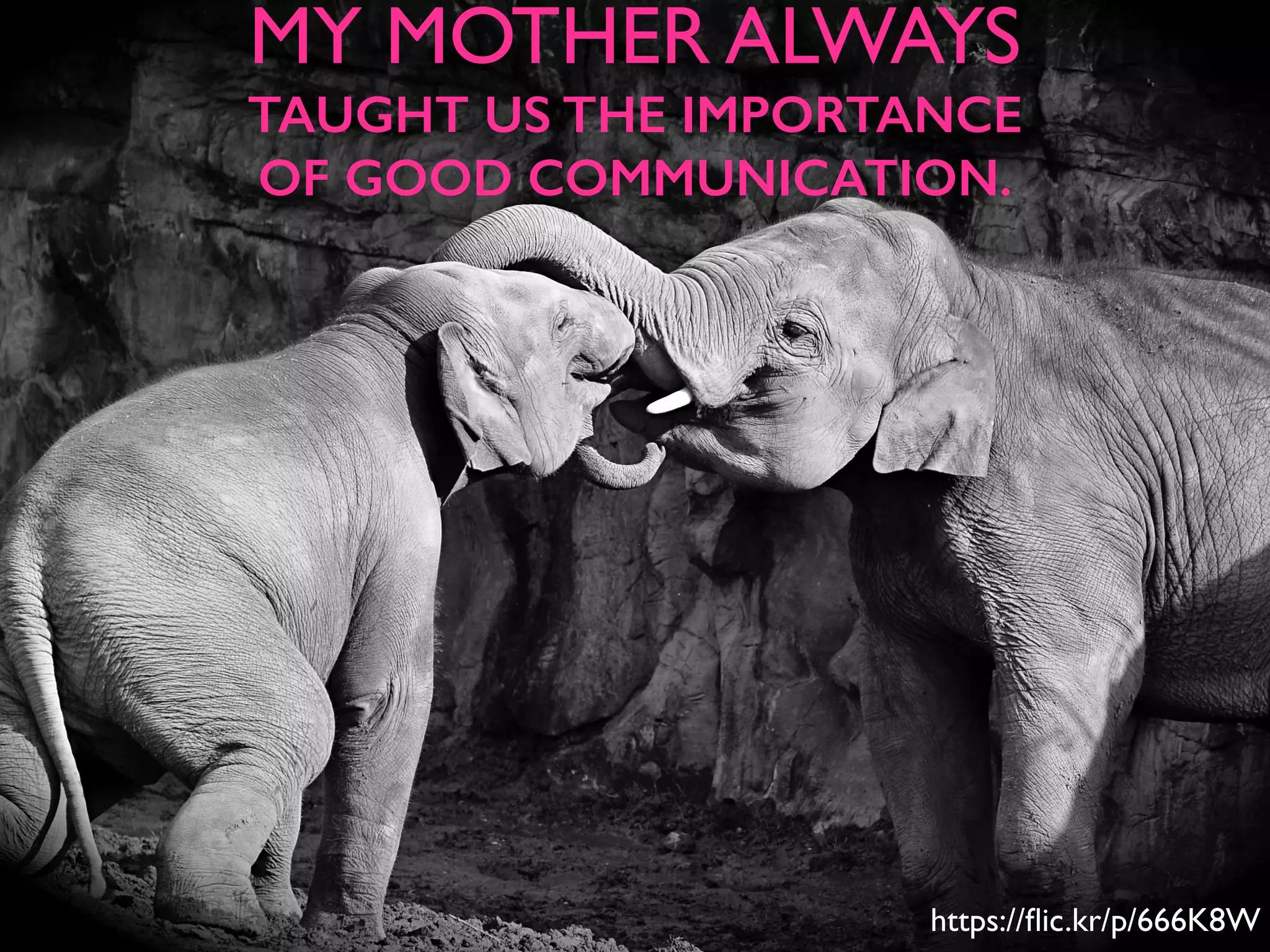 MY MOTHER ALWAYS
TAUGHT US THE IMPORTANCE
OF GOOD COMMUNICATION.
https://ﬂic.kr/p/666K8W
 