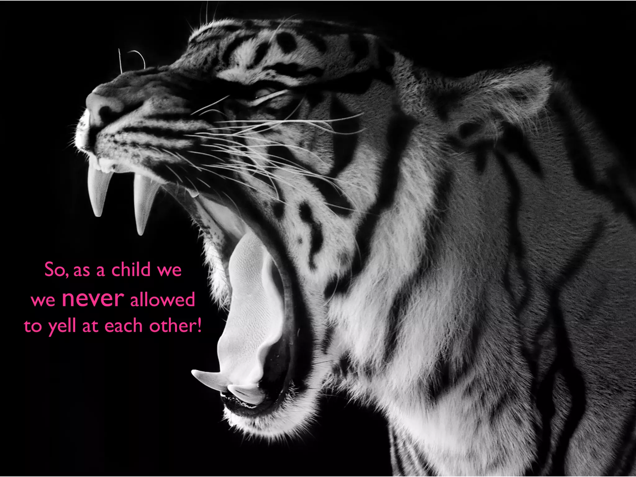 So, as a child we
we never allowed
to yell at each other!
 