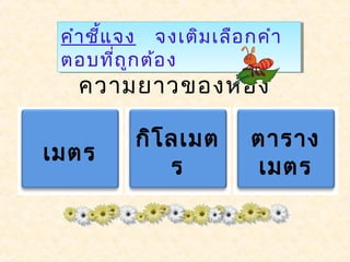 คำำชี้แจง จงเติมเลือกคำำ
ตอบที่ถูกต้อง
คำำชี้แจง จงเติมเลือกคำำ
ตอบที่ถูกต้อง
ควำมยำวของห้อง
เมตร
กิโลเมต
ร
ตำรำง
เมตร
 