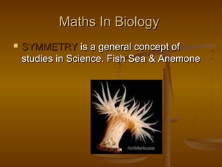 Science Math And Life Mathmatics in real life. | PPT