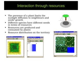Interaction through resources

• The presence of a plant limits the
  sunlight diffusion to neighbours and
  seeds’ growth
• Different species have different needs
  in terms of resources
• Resources are produced and
  consumed by plants
• Resource distribution on the territory
 