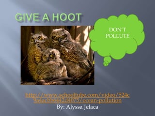 Give a hoot DON’T POLLUTE http://www.schooltube.com/video/524c9a4acbb6442d4075/ocean-pollution By: Alyssa Jelaca 