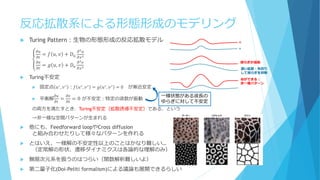 反応拡散系による形態形成のモデリング
 Turing Pattern：生物の形態形成の反応拡散モデル
൞
𝜕𝑢
𝜕𝑡
= 𝑓 𝑢, 𝑣 + 𝐷 𝑢
𝜕2 𝑢
𝜕𝑥2
𝜕𝑣
𝜕𝑡
= 𝑔 𝑢, 𝑣 + 𝐷𝑣
𝜕2 𝑣
𝜕𝑥2
 Turing不安定
 固定点 𝑢∗
, 𝑣∗
：𝑓 𝑢∗
, 𝑣∗
= 𝑔 𝑢∗
, 𝑣∗
= 0 が漸近安定
 平衡解
𝜕𝑢
𝜕𝑡
=
𝜕𝑣
𝜕𝑡
= 0 が不安定：特定の波数が振動
の両方を満たすとき、Turing不安定（拡散誘導不安定）である、という
→非一様な空間パターンが生まれる
 他にも、Feedforward loopやCross diffusion
と組み合わせたりして様々なパターンを作れる
 とはいえ、一様解の不安定性以上のことはかなり難しい…
（定常解の形状、遷移ダイナミクスは各論的な理解のみ）
 無限次元系を扱うのはつらい（関数解析難しいよ）
 第二量子化(Doi-Peliti formalism)による議論も展開できるらしい
一様状態がある波長の
ゆらぎに対して不安定
u
v
揺らぎが成長
速い拡散：先回り
して揺らぎを抑制
谷ができる：
非一様パターン
 