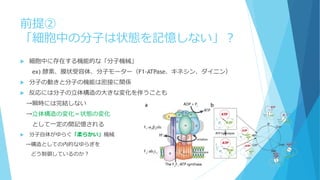 前提②
「細胞中の分子は状態を記憶しない」？
 細胞中に存在する機能的な「分子機械」
ex) 酵素、膜状受容体、分子モーター（F1-ATPase、キネシン、ダイニン）
 分子の動きと分子の機能は密接に関係
 反応には分子の立体構造の大きな変化を伴うことも
→瞬時には完結しない
→立体構造の変化＝状態の変化
として一定の間記憶される
 分子自体がゆらぐ「柔らかい」機械
→構造としての内的なゆらぎを
どう制御しているのか？
 