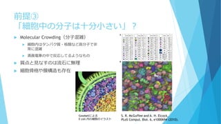 前提③
「細胞中の分子は十分小さい」？
 Molecular Crowding（分子混雑）
 細胞内はタンパク質・核酸など高分子で非
常に混雑
 満員電車の中で反応してるようなもの
 質点と見なすのは流石に無理
 細胞骨格や膜構造も存在
S. R. McGuffee and A. H. Elcock,
PLoS Comput. Biol. 6, e1000694 (2010).
Goodsellによる
E coli.内の細胞のイラスト
 