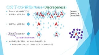 ①分子の少数性(Noise/Discreteness)
AB
B
BB
B B
B
B
B
 Shnerb “AB model”では
1. 拡散遅い、A密度高い
2. 拡散早い、A密度低い
3. 拡散遅い、A密度低い
 Bの分解が早い場合、AとBの共局在が起こる
 BはAから離れられない（拡散するとすぐに分解される）
A→A+B
A+B→A+2B
B→φ(消滅)
AAA AAAB
B
B
B
B
B
B
B
B
B
B
B
B
B
B
B
B
B
B
B
B
B
B
B
B
B
B
B
B
B
B
B
B
B
B
BB
B
B
B
B
B
B
B
B
B
B
B
B
B
B
B
B
BB
B
B
B
B
B
B
B
B
B
B
B
B
B
B
B
B
BB
B
B
B
B
B
B
B
BA
A AB
B BB
B
B
B
B
B
B
B
B
B
B B B
B
B
A AB
B
B
B
B
B
B
B
B B
B
BB
BB
B
B
B
分子混雑でも同様の効果
B
B
B
B
B
B
B
B
B
A
 