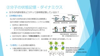 ②分子の状態記憶・ダイナミクス
 分子の内部状態をどうやって長時間記憶しているか？
 立体構造の変化
Ex) EGFとEGFR(ErbB1)の結合解離反応＠細胞膜上
EGFの刺激で3倍量のEGFRが活性化＝シグナルの増幅
 EGFRは二量体を形成
 二量体を形成したEGFRがEGF分子と結合すると
もう片方の空のEGFRのaffinityも上昇する
→低濃度のEGFでも高感度の応答が可能に
 EGFがEGFR二量体の「状態の制御子」の役割を果たす
 EGFRの状態の比率を制御することで、結合解離に伴う熱揺らぎを制御している
 「少数性」による状態の維持も
 少量の酵素を多数の反応で取り合うと
反応の進行が遅れ、緩和が対数的に遅くなる
理研・佐甲細胞情報研究室のHPより
Kinetic Memory Based on
the Enzyme-Limited Competition
Hatakeyama, Kaneko,.
PLOS Comp. Biol. 10 (2014) e1003784
 
