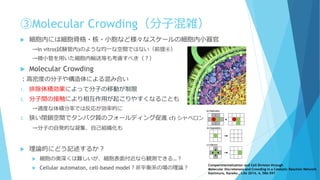③Molecular Crowding（分子混雑）
 細胞内には細胞骨格・核・小胞など様々なスケールの細胞内小器官
→In vitro(試験管内)のような均一な空間ではない（前提④）
→微小管を用いた細胞内輸送等も考慮すべき（？）
 Molecular Crowding
：高密度の分子や構造体による混み合い
1. 排除体積効果によって分子の移動が制限
2. 分子間の接触により相互作用が起こりやすくなることも
→適度な体積分率では反応が効率的に
3. 狭い閉鎖空間でタンパク質のフォールディング促進 cf) シャペロン
→分子の自発的な凝集、自己組織化も
 理論的にどう記述するか？
 細胞の奥深くは難しいが、細胞表面付近なら観測できる…？
 Cellular automaton, cell-based model？非平衡系の場の理論？
Compartmentalization and Cell Division through
Molecular Discreteness and Crowding in a Catalytic Reaction Network
Kamimura, Kaneko., Life 2014, 4, 586-597
 