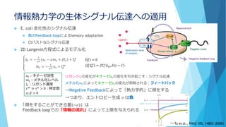 情報熱力学の生体シグナル伝達への適用
 E. coli 走化性のシグナル伝達
 負のFeedback loopによるsensory adaptation
 ロバストなシグナル伝達
 2D Langevin方程式によるモデル化
൞
ሶ𝑎 𝑡 = −
1
𝜏 𝑎 𝑎 𝑡 − 𝛼𝑚 𝑡 + 𝛽𝑙 𝑡 + ξ 𝑡
𝑎
ሶ𝑚 𝑡 = −
1
𝜏 𝑚 𝑎 𝑡 + ξ 𝑡
𝑚
リガンド𝑙 𝑡の変化がキナーゼ𝑎 𝑡の変化を引き起こす：シグナル伝達
メチル化𝑚 𝑡によってキナーゼ𝑎 𝑡の変化が抑制される：フィードバック
→Negative Feedbackによって「熱力学的」に得をする
→つまり、エントロピー生成 𝜎 は負
 「得をすることができる量(−𝜎)」は
Feedback loopでの「情報の流れ」によって上限を与えられる
ξ 𝑡
𝑥
= 0
ξ 𝑡
𝑥
ξ 𝑡′
𝑥′
= 2𝑇𝑡
𝑥
𝛿 𝑥𝑥′ 𝛿 𝑡 − 𝑡′
𝑎 𝑡：キナーゼ活性
𝑚 𝑡：メチル化レベル
𝑙 𝑡：リガンド濃度
𝜏 𝑚
≫ 𝜏 𝑎
> 0：時定数
𝛼, 𝛽 > 0
Tu et al., PNAS 105, 14855 (2008)
 