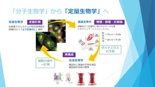 「分子生物学」から「定量生物学」へ
定量生物学
各階層でのシステムの時空間情報を
網羅的かつ「より定量的に」解析
理論生物学
網羅的かつ定量的に得られたデータを基
にモデリング・シミュレーション
定量計測 物理・数理・計算機
合成生物学
構成的に理論的予測を検証
細胞操作技術の開発
再構成
細胞の操作
→計測
ダイナミクス
の予測
 
