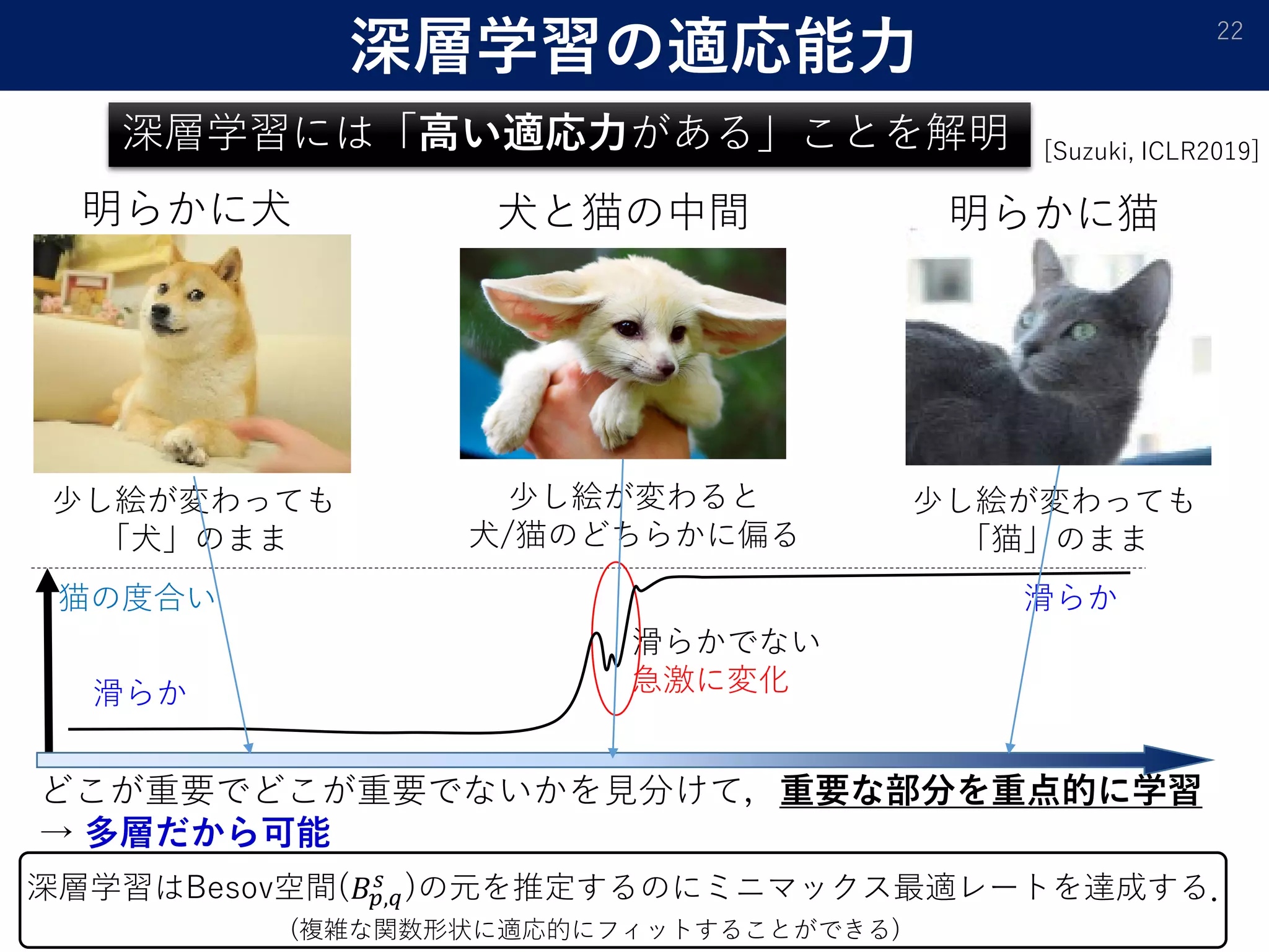 深層学習の適応能力 22
[Suzuki, ICLR2019]
深層学習はBesov空間(𝐵𝐵𝑝𝑝,𝑞𝑞
𝑠𝑠
)の元を推定するのにミニマックス最適レートを達成する．
(複雑な関数形状に適応的にフィットすることができる)
深層学習には「高い適応力がある」ことを解明
明らかに犬 明らかに猫犬と猫の中間
少し絵が変わっても
「犬」のまま
少し絵が変わっても
「猫」のまま
少し絵が変わると
犬/猫のどちらかに偏る
猫の度合い
滑らかでない
急激に変化滑らか
滑らか
どこが重要でどこが重要でないかを見分けて，重要な部分を重点的に学習
→ 多層だから可能
 