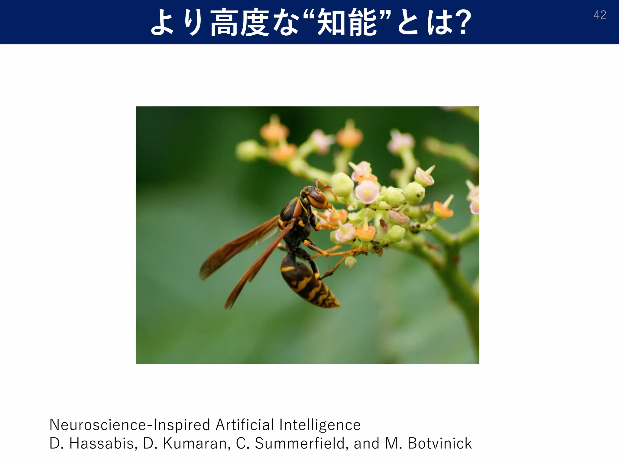 より高度な“知能”とは? 42
Neuroscience-Inspired Artificial Intelligence
D. Hassabis, D. Kumaran, C. Summerfield, and M. Botvinick
 