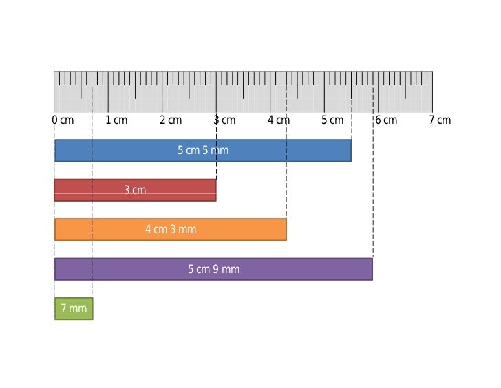 Math Primary 3 Measurments