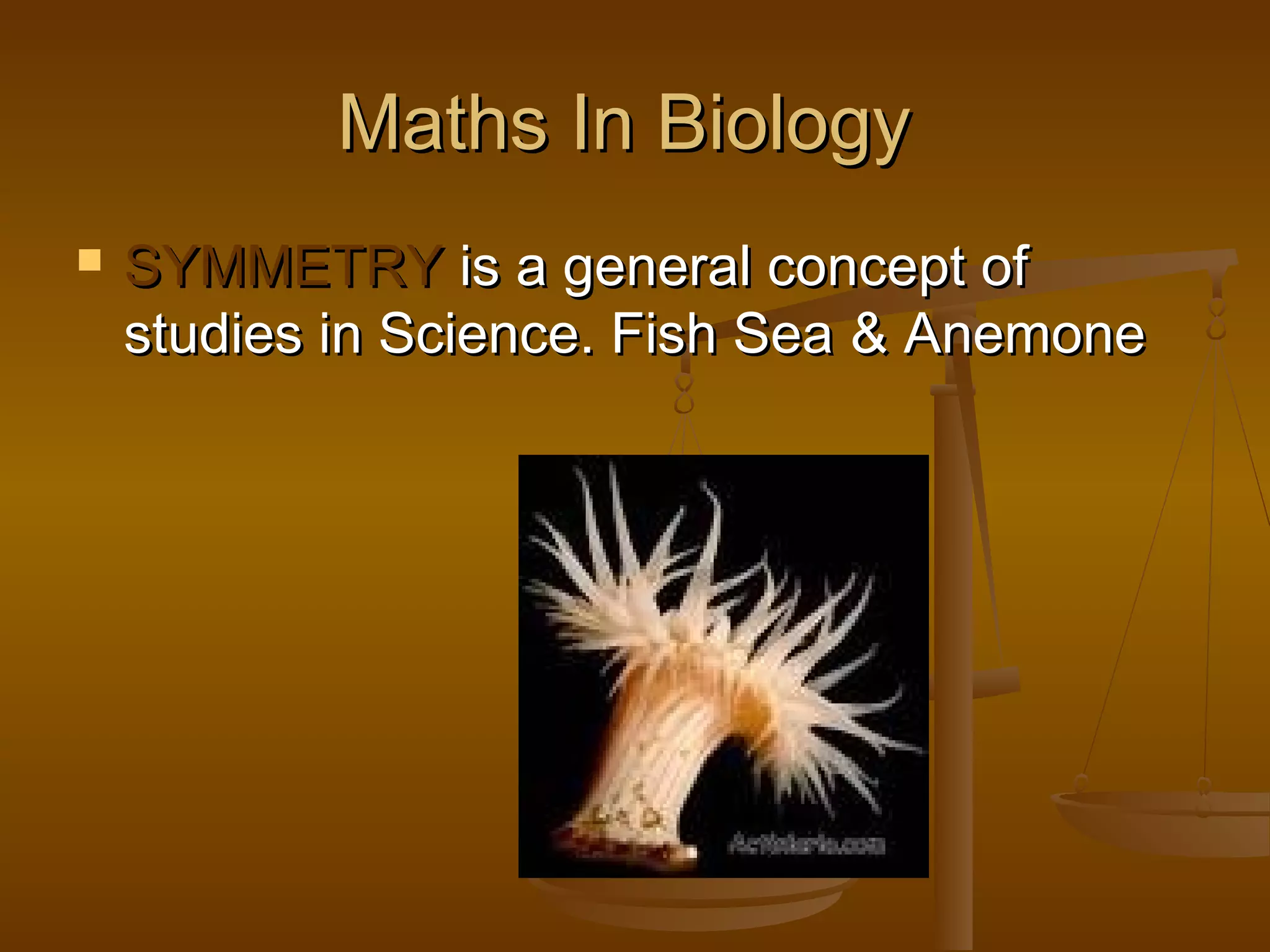 Maths In Biology


SYMMETRY is a general concept of
studies in Science. Fish Sea & Anemone

 