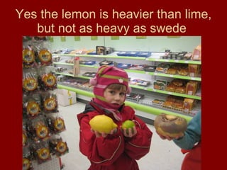 Yes the lemon is heavier than lime, but not as heavy as swede  
