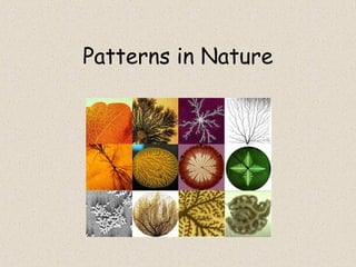Mathematics-Fibonacci-sequence-and-Patterns.ppt