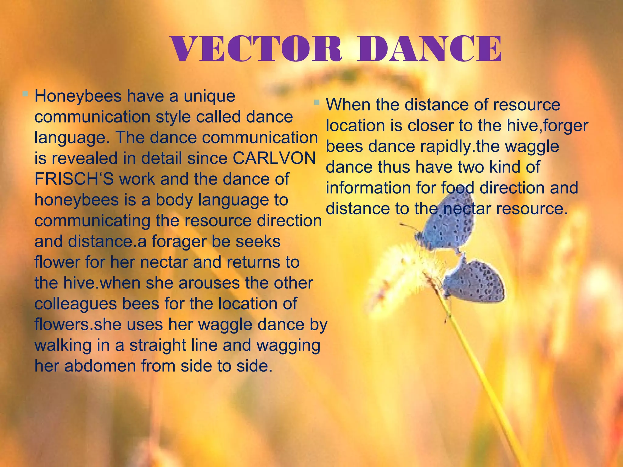 VECTOR DANCE
 Honeybees have a unique
 When the distance of resource
communication style called dance
location is closer to the hive,forger
language. The dance communication
bees dance rapidly.the waggle
is revealed in detail since CARLVON
dance thus have two kind of
FRISCH‘S work and the dance of
information for food direction and
honeybees is a body language to
distance to the nectar resource.
communicating the resource direction
and distance.a forager be seeks
flower for her nectar and returns to
the hive.when she arouses the other
colleagues bees for the location of
flowers.she uses her waggle dance by
walking in a straight line and wagging
her abdomen from side to side.

 