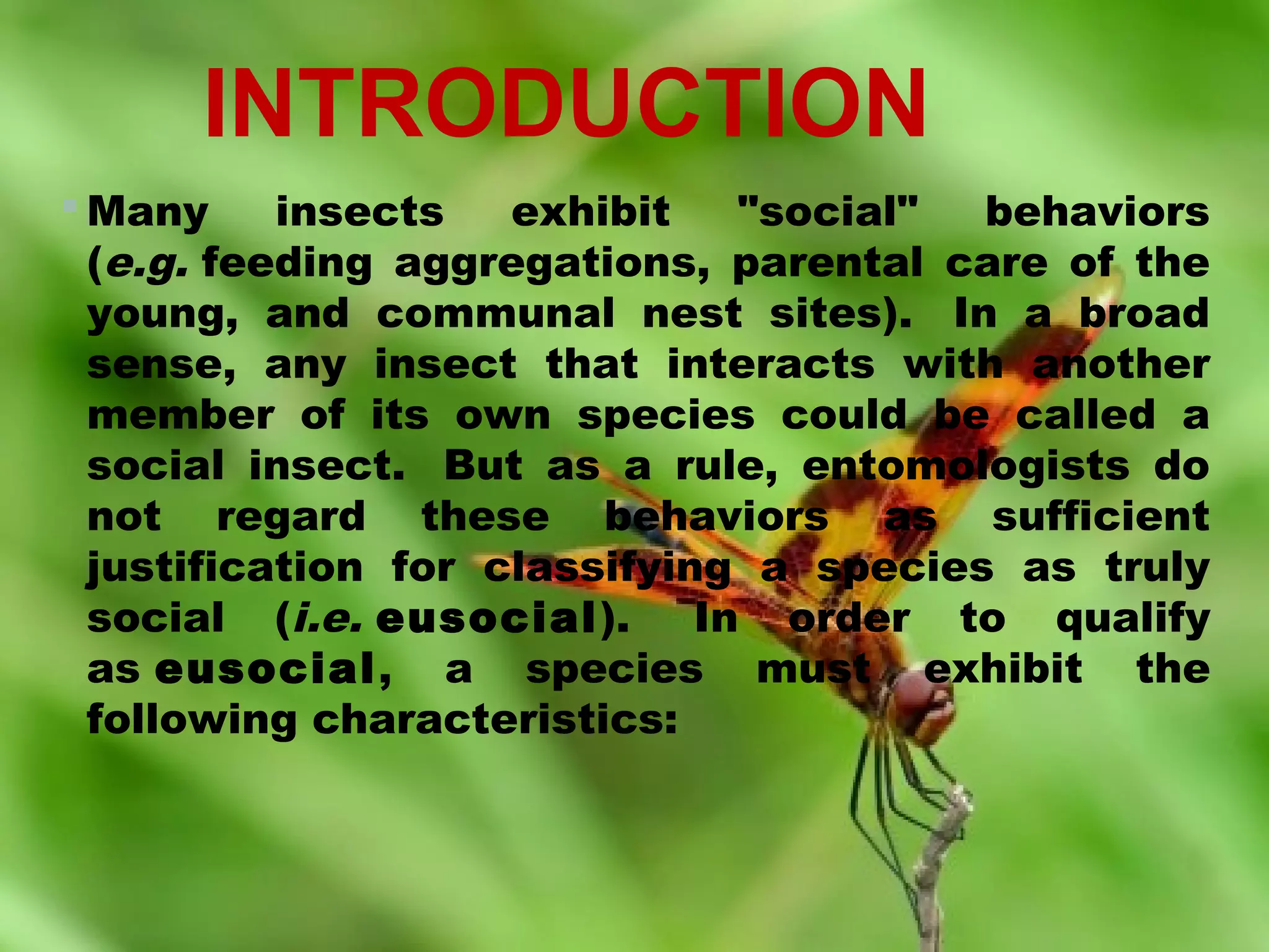 INTRODUCTION
 Many
insects
exhibit
"social"
behaviors
(e.g. feeding aggregations, parental care of the
young, and communal nest sites).  In a broad
sense, any insect that interacts with another
member of its own species could be called a
social insect.  But as a rule, entomologists do
not regard these behaviors as sufficient
justification for classifying a species as truly
social (i.e. eusocial).  In order to qualify
as eusocial, a species must exhibit the
following characteristics:

 